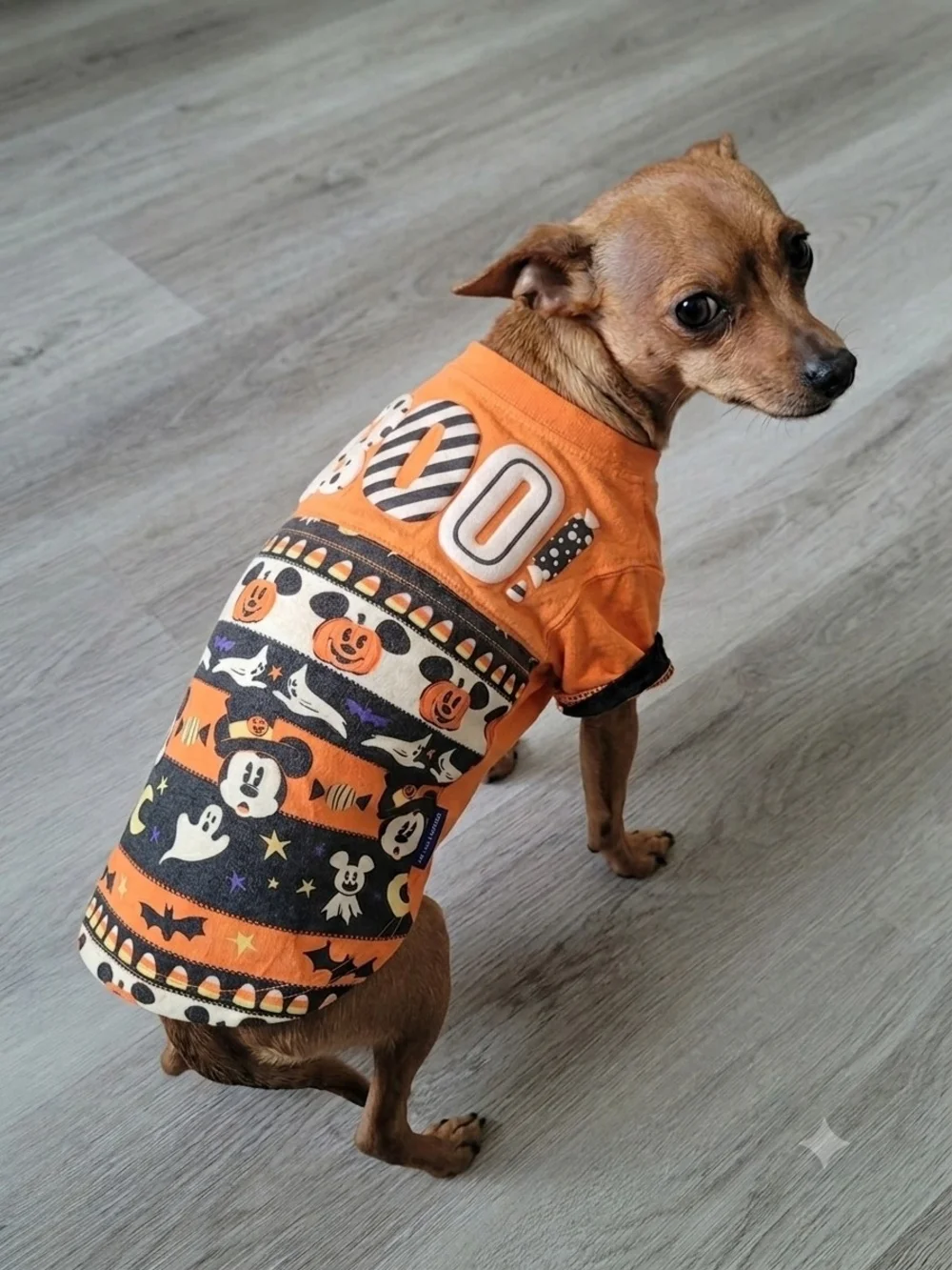 Disney Parks Halloween Mickey Mouse Pet Spirit Jersey Pumpkin Boo Dog Shirt XL
